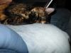 IMG_0022.JPG.jpg - 2003:04:16 19:59:08