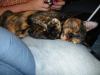 IMG_0024.JPG.jpg - 2003:04:16 19:59:24