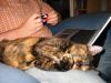 IMG_0028.JPG.jpg - 2003:04:16 19:59:48