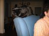 IMG_0030.JPG.jpg - 2003:04:16 20:00:01